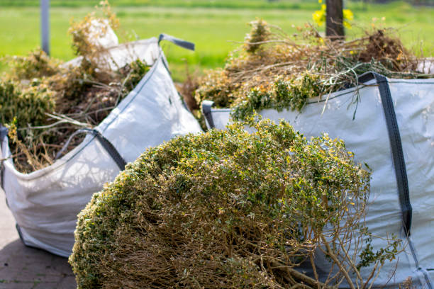 Best Construction Debris Removal  in Long Prairie, MN
