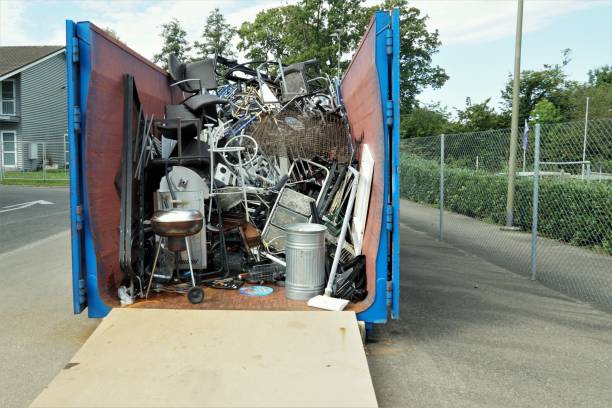 Best Yard Cleanup Services  in Long Prairie, MN